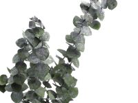 بیبی بلو تثبیت شده (Baby Blue)