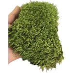 مود ماس تثبیت شده