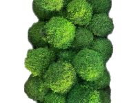 خزه تثبیت شده توپی شیت